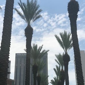 Meet your Posher, Jaden